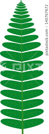 Fern leaf Fern leaf 140767672