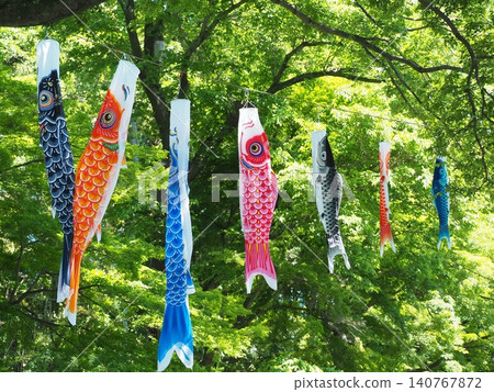 Carp streamer Carp streamer 140767872