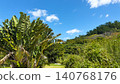Vibrant subtropical plants and a clear blue sky in Sukari, Setouchi Town, Amami Oshima. 140768176