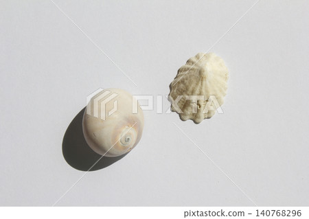 It is an empty barnacle shell. 140768296