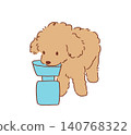 Toy poodle to hydrate 140768322