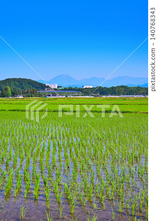 藍天白雲,稻田遍布,鄉村景色,靠近西片路邊車站。 藍天白雲,稻田遍布,鄉村景色,靠近西片路邊車站。 140768343