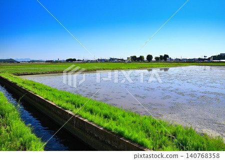 藍天白雲，稻田遍布，鄉村景色，靠近西片路邊車站。 140768358