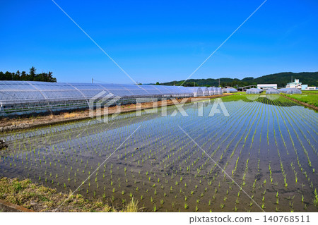 Blue sky and rice fields, greenhouses, near the Nishikata roadside station. Blue sky and rice fields, greenhouses, near the Nishikata roadside station. 140768511