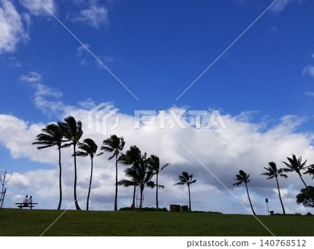 Hawaii Hawaii 140768512