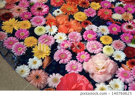 Gerbera floating on the water Gerbera floating on the water 140768625
