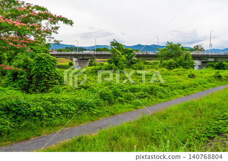 Riverbank covered with vegetation Riverbank covered with vegetation 140768804