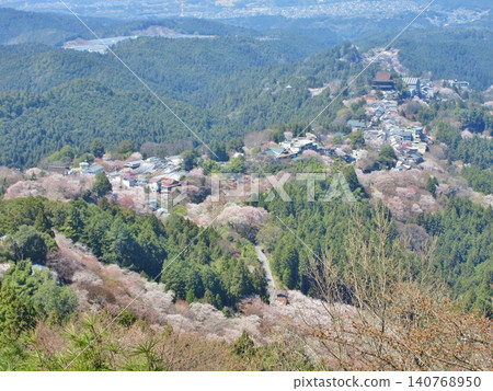 從吉野市花屋倉展望台看到的盛開的櫻花和金峰山寺藏堂。 從吉野市花屋倉展望台看到的盛開的櫻花和金峰山寺藏堂。 140768950