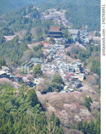 從吉野市花屋倉展望台看到的盛開的櫻花和金峰山寺藏堂。 從吉野市花屋倉展望台看到的盛開的櫻花和金峰山寺藏堂。 140768951