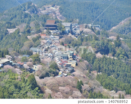 從吉野市花屋倉展望台看到的盛開的櫻花和金峰山寺藏堂。 140768952