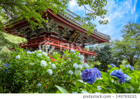 Hydrangeas in early summer and the temple gate Hydrangeas in early summer and the temple gate 140769283