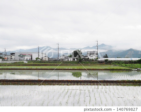 A landscape of rice paddies after planting (Kano Plain after the rain) A landscape of rice paddies after planting (Kano Plain after the rain) 140769827