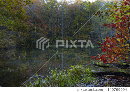 Tsuta Onsen - Lake-hopping Trail - Tsuki-numa Pond 140769994