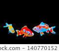 3條朱文錦金魚的照片 140770152
