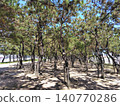 Pine forest (sideways) 140770286