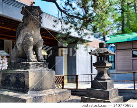 Shiraishi Shrine: Guardian dogs and lanterns, Shiraishi Ward, Sapporo City, fresh greenery Shiraishi Shrine: Guardian dogs and lanterns, Shiraishi Ward, Sapporo City, fresh greenery 140770692
