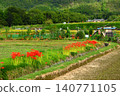 Autumn countryside 140771105