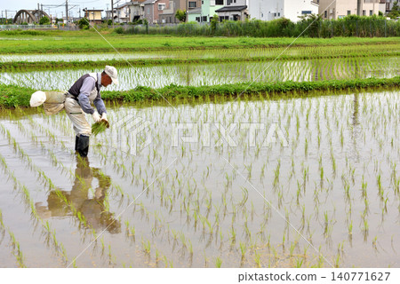 Farmers planting rice in a field near the JR Sagami Line. Farmers planting rice in a field near the JR Sagami Line. 140771627