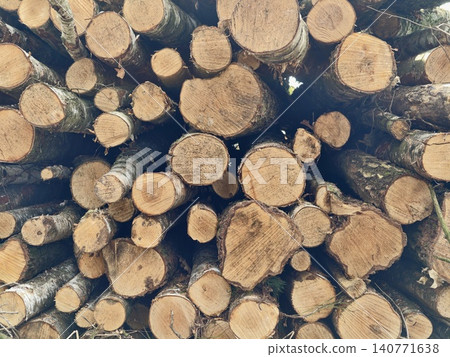Closeup of timber rings. Focus on seasoned timber with visible rings and natural outdoor surroundings 140771638