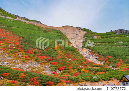 Autumn morning light: Mount Norikura at the peak of its autumn foliage season, with the rowan trees dyed bright red taking center stage in a colorful autumn landscape. Autumn morning light: Mount Norikura at the peak of its autumn foliage season, with the rowan trees dyed bright red taking center stage in a colorful autumn landscape. 140772772