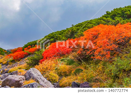 Autumn morning light: Mount Norikura at the peak of its autumn foliage season, with the rowan trees dyed bright red taking center stage in a colorful autumn landscape. Autumn morning light: Mount Norikura at the peak of its autumn foliage season, with the rowan trees dyed bright red taking center stage in a colorful autumn landscape. 140772774