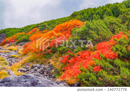 Autumn morning light: Mount Norikura at the peak of its autumn foliage season, with the rowan trees dyed bright red taking center stage in a colorful autumn landscape. Autumn morning light: Mount Norikura at the peak of its autumn foliage season, with the rowan trees dyed bright red taking center stage in a colorful autumn landscape. 140772776