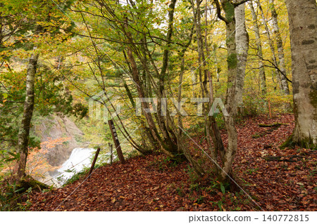 251019 Nagano Prefecture, Okushiga Valley, Zakogawa Forest Road 251019 Nagano Prefecture, Okushiga Valley, Zakogawa Forest Road 140772815