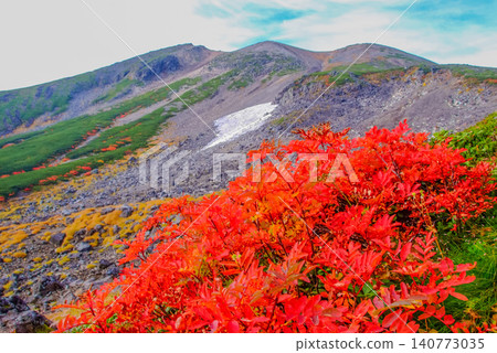 On a clear autumn day, a beautiful scene unfolds with the snow-capped slopes of Mount Norikura as a backdrop, and vibrant red rowan trees in full bloom in the foreground. 140773035