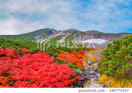 On a clear autumn day, a beautiful scene unfolds with the snow-capped slopes of Mount Norikura as a backdrop, and vibrant red rowan trees in full bloom in the foreground. On a clear autumn day, a beautiful scene unfolds with the snow-capped slopes of Mount Norikura as a backdrop, and vibrant red rowan trees in full bloom in the foreground. 140773037