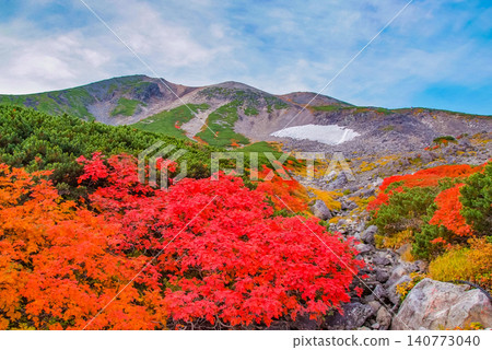 On a clear autumn day, a beautiful scene unfolds with the snow-capped slopes of Mount Norikura as a backdrop, and vibrant red rowan trees in full bloom in the foreground. On a clear autumn day, a beautiful scene unfolds with the snow-capped slopes of Mount Norikura as a backdrop, and vibrant red rowan trees in full bloom in the foreground. 140773040