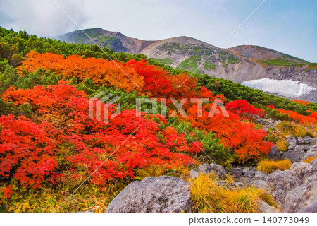 在一個晴朗的秋日,美麗的景色徐徐展開:雪山乘鞍山的山坡作為背景,前景中盛開著鮮豔的紅色花楸樹。 在一個晴朗的秋日,美麗的景色徐徐展開:雪山乘鞍山的山坡作為背景,前景中盛開著鮮豔的紅色花楸樹。 140773049