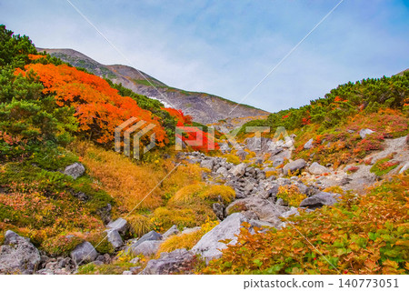 在一個晴朗的秋日,美麗的景色徐徐展開:雪山乘鞍山的山坡作為背景,前景中盛開著鮮豔的紅色花楸樹。 在一個晴朗的秋日,美麗的景色徐徐展開:雪山乘鞍山的山坡作為背景,前景中盛開著鮮豔的紅色花楸樹。 140773051