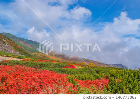 在一個晴朗的秋日，美麗的景色徐徐展開：雪山乘鞍山的山坡作為背景，前景中盛開著鮮豔的紅色花楸樹。 140773062