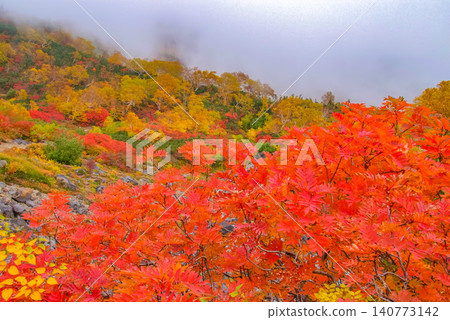 Autumn morning light: Mount Norikura at the peak of its autumn foliage season, with the rowan trees dyed bright red taking center stage in a colorful autumn landscape. Autumn morning light: Mount Norikura at the peak of its autumn foliage season, with the rowan trees dyed bright red taking center stage in a colorful autumn landscape. 140773142