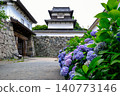 Hydrangeas in Maizuru Park and Fukuoka Castle Ruins 140773146