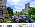 Hydrangeas in Maizuru Park and Fukuoka Castle Ruins 140773151