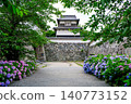 Hydrangeas in Maizuru Park and Fukuoka Castle Ruins 140773152