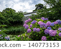Hydrangeas in Maizuru Park and Fukuoka Castle Ruins 140773153