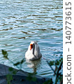A white goose swims gracefully on calm water. The surface reflects light, creating a serene atmosphere. Green foliage frames the scene. 140773615