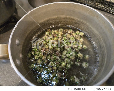 Boiled wild garlic bulbils (Nobiru no mukago) in salted water in a pot. 140773845