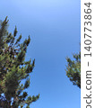 Pine trees and blue sky (vertical orientation) 140773864