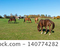 Horses on a pasture during autumn 140774282