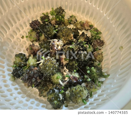 將新鮮煮熟的野生洋蔥球莖放入濾鍋中瀝乾。 將新鮮煮熟的野生洋蔥球莖放入濾鍋中瀝乾。 140774385