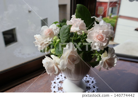 將修剪過的重瓣鳳仙花進行插花。 140774442