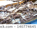 Pillars of a house damaged by termites 140774645