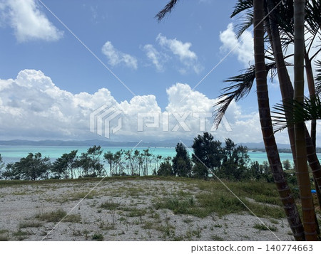 沖繩古利島的棕櫚樹外,碧綠的大海綿延不絕。 沖繩古利島的棕櫚樹外,碧綠的大海綿延不絕。 140774663