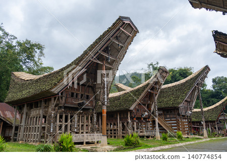 Traditional Toraja houses with buffalo horns, Sulawesi, Indonesia Traditional Toraja houses with buffalo horns, Sulawesi, Indonesia 140774854