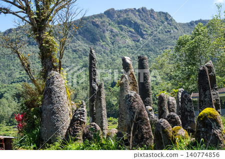 Funerary monoliths standing in Toraja, Sulawesi, Indonesia Funerary monoliths standing in Toraja, Sulawesi, Indonesia 140774856