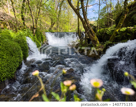 River Cascades and Small Waterfall at Levada dos Jugueiros in Portugal River Cascades and Small Waterfall at Levada dos Jugueiros in Portugal 140775135