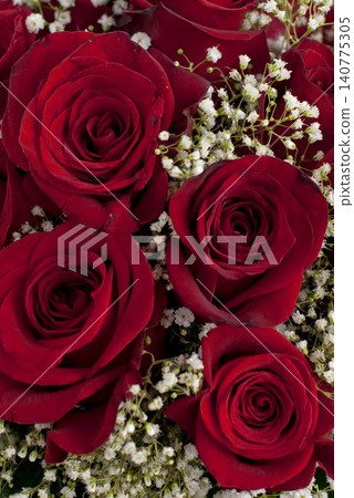Red roses Red roses 140775305